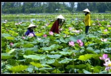 DISCOVER SOUTH OF VIETNAM IN 4 DAYS 3 NIGHTS (GROUP TOUR)